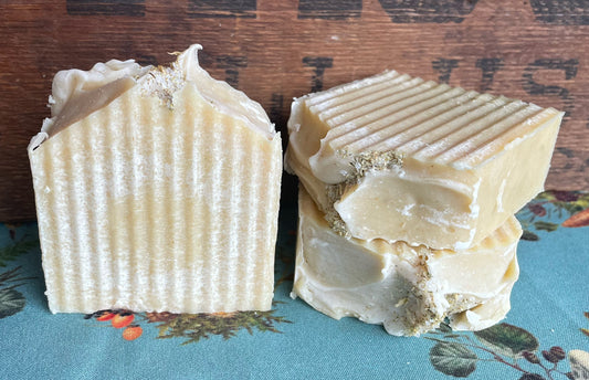 CITRUS & MINT- TALLOW & SHEA BUTTER BARS