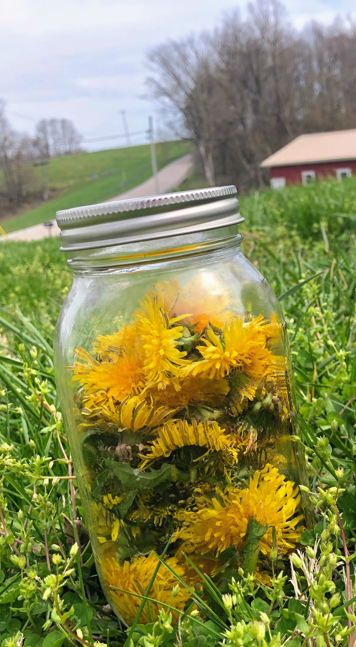 DANDELION SOAP BAR